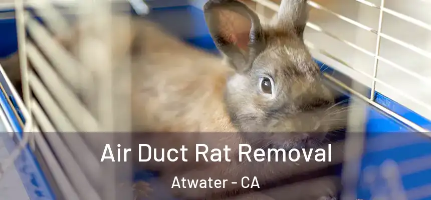 Air Duct Rat Removal Atwater - CA